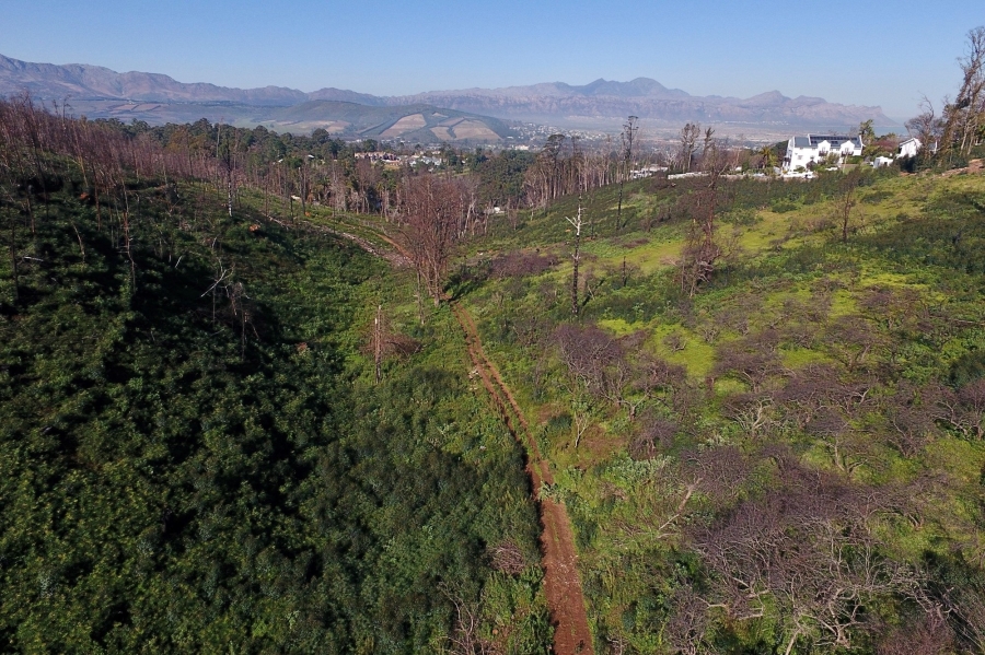 0 Bedroom Property for Sale in Spanish Farm Western Cape